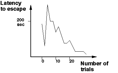 Thorndike learning curve